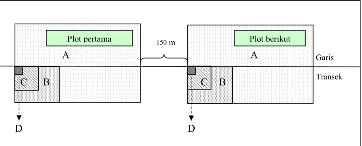 Gambar 2. Desain petak-petak contoh di lapangan dengan metode plot (Kusmana, 1997)  (Figure 2