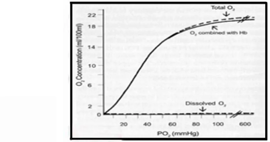 Grafik  2.2.  Perbandingan  tekanan  oksigen  dengan  jumlah  oksigen  tiap  100  mL  darah arteri