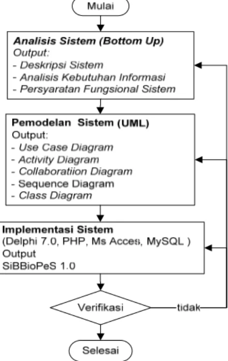 Gambar 12. Tahapan Penelitian 