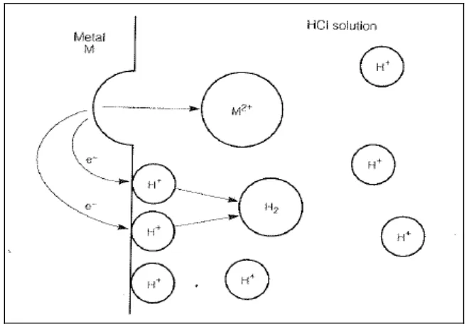 Gambar 2.2   Diagram skematis dari kelarutan logam Mg (Principles and 