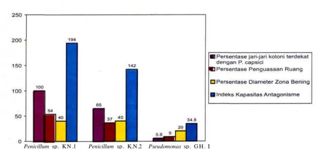 Gambar 2. Grafik kapasitas antagonisme Penicillium dan Pseudomonas terhadap Phytophthora capsici pada media cawan agar ekstrak tauge.