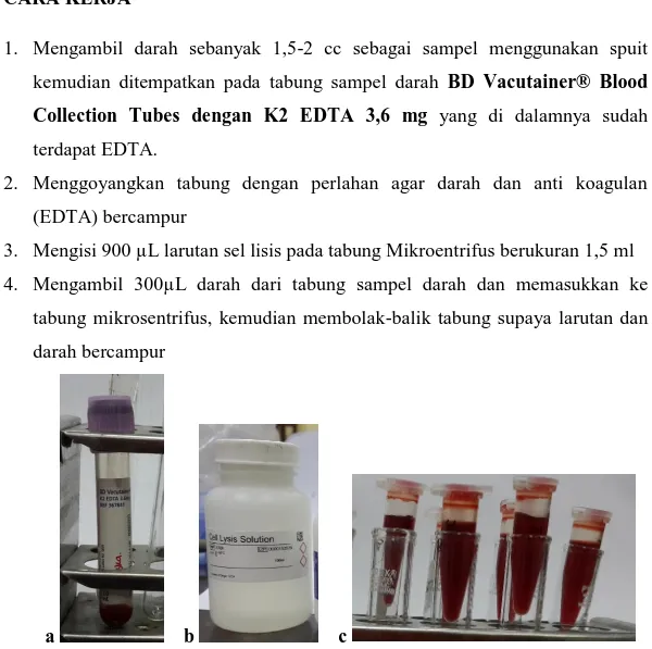 Gambar 1. a. BD Vacutainer® Blood Collection Tubes dengan K2 EDTA 3,6 mg yang telah  diisi sampel darah; b