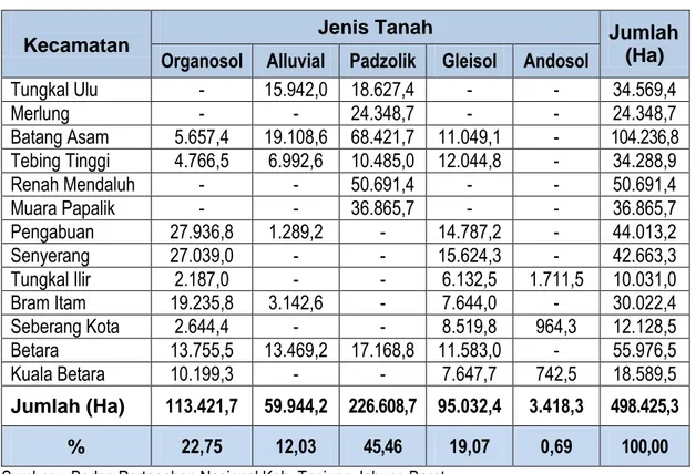 Tabel 2.3 menunjukkan bahwa jenis tanah Kabupaten Tanjung Jabung  dominanasi oleh Padzolik dengan luas 226.608,7 hektar atau sekitar 45,46 %  dari  luas  wilayah  kabupaten
