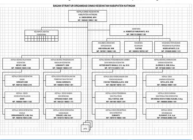Gambar 1.1.  Struktur Organisasi Dinas Kesehatan Kabupaten Katingan Tahun 2014 