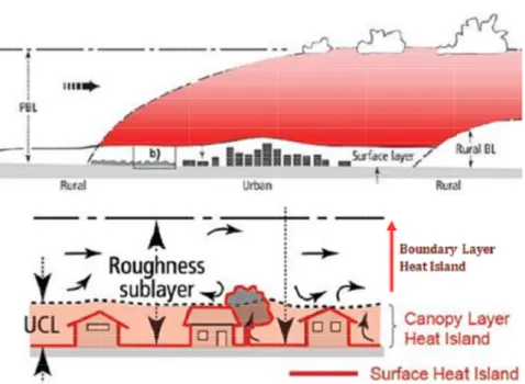 Gambar 1.2. Jenis urban heat island Sumber ; www.actionbioscience.org