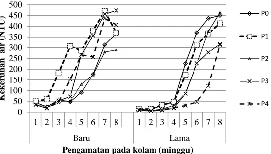Gambar 4. Peningkatan kekeruhan air kolam selama penelitian pemberian kapur CaCO 3 dalam dosis yang berbeda pada umur kolam 0-4 tahun (Baru) dan 5-10 tahun (Lama)