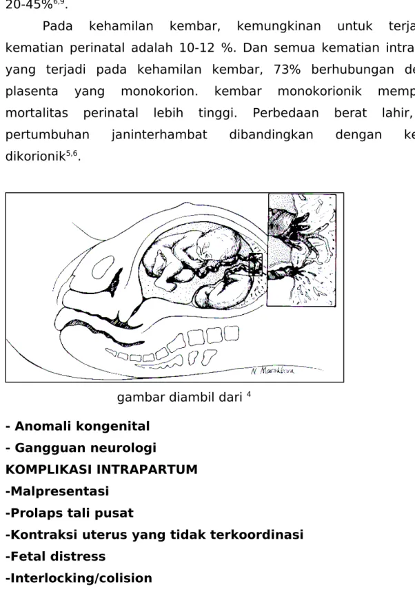 gambar diambil dari  4 - Anomali kongenital