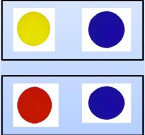 Gambar   di   atas   adalah   penggambungan   dari   banyak   warna,   kemudian  ditransparency