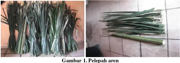 Gambar 1. Pelepah aren 