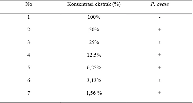Tabel 3 KHM ekstrak daun sirih merah terhadap P. ovale pada berbagai konsentrasi 