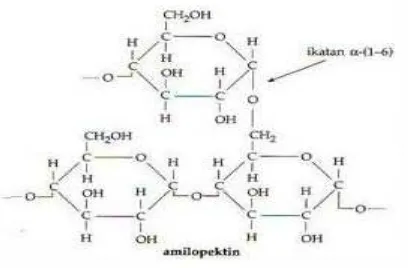 Gambar 2.3 Struktur Kimia Amilopektin 
