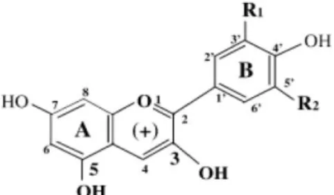 Gambar 1. Struktur kimia antosianidin (Giusti dan Wrolstad, 2003) 