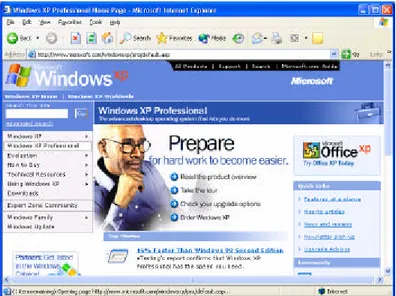 Gambar 2.2  Home page Windows XP 
