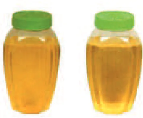 Gambar 1. Minyak Jarak Pagar (Jatropha curcas oil) 