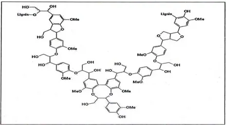 Gambar 2.6. Struktur molekul lignin (Sungai, 2009) 