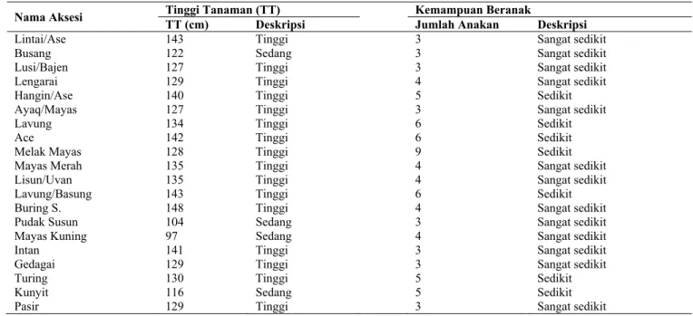 Tabel 2. Tinggi tanaman, kemampuan beranak, umur tanaman, dan cabang malai sekunder 20 aksesi padi lokal Kalimantan Timur 