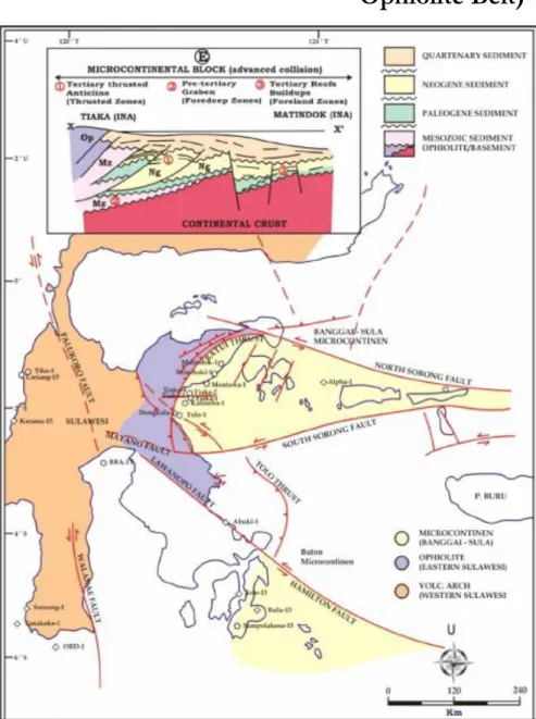 Gambar 9. Peta Geologi Mandala Timur Sulawesi 