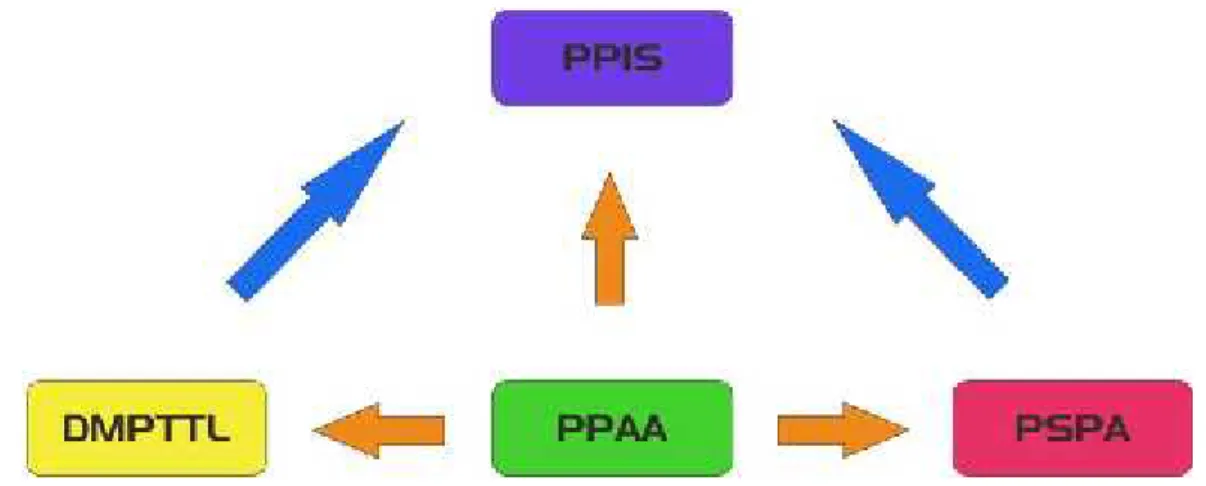 Gambar 3-1 Hubungan antara program teknis (PPIS) dengan program generik (DMPTTL, PSPA, dan PPAA) 3.2 Arah Kebijakan dan Strategi BPS Kota Sorong