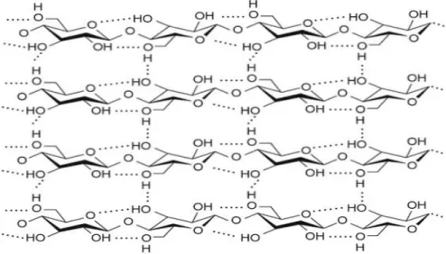 Gambar 2.4 Ikatan Hidrogen Intramolekul dan Intermolekul pada Selulosa  Material  selulosa  memiliki  derajat  polimerisasi  (DP)  yang  berbeda-beda  tergantung  dari  sumber  dan  perlakuannya