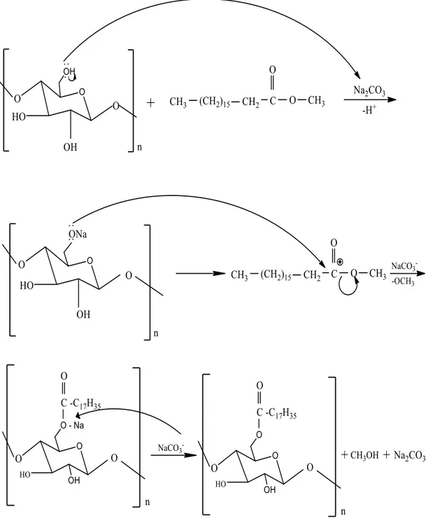 Gambar 4.8 Mekanisme Reaksi Selulosa Stearat 