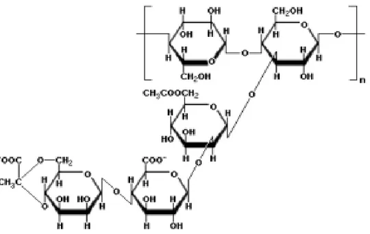 Gambar 1. Struktur molekul xanthan gum (Williams dan Phillips, 2004)  Xanthan  gum  memberikan  kontribusi  yang  sangat  berarti  dalam  penyediaan serat terlarut (soluble fiber)