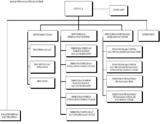 Gambar 1. Struktur Organisasi BAPETEN  (Menurut Perka No. 11 Tahun 2008) 