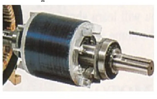Gambar 2.6. Rotor sangkar Tupai