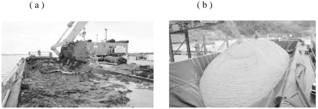 Gambar 2.7   Material pengisi geotube ( a ) Lumpur – lanau  ( b ) Pasir 