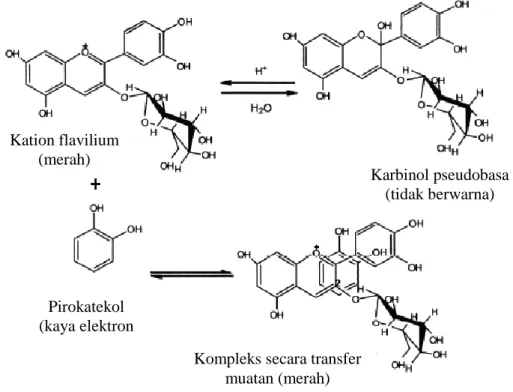 Gambar 1.  Pembentukan kompleks antosianin dengan senyawa pirokatekol secara  pindah muatan (Castenada et al., 2009) 