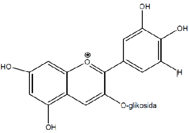 Gambar 3. Sianidin-3-glukosida (Santoni, 2013) 