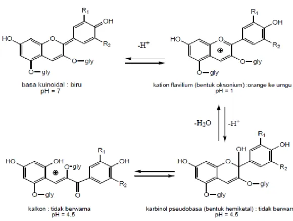 Gambar 6.  Struktur antosianin pada kondisi pH yang berbeda (Giusti &amp; Wrolstad,  2001)  