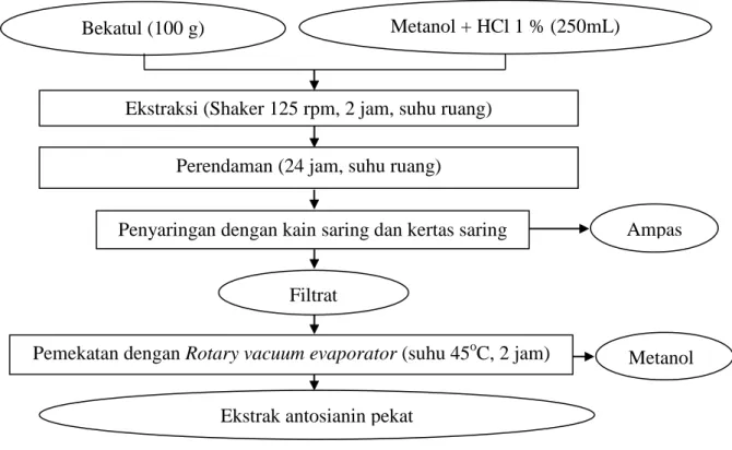 Gambar 10.  Diagram alir ekstraksi antosianin bekatul beras ketan hitam  Sumber :  Gao dan Mazza (1996)