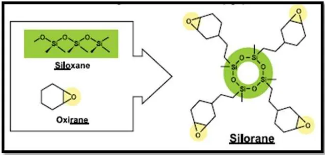 Gambar 10. Struktur kimia resin komposit berbasis Silorane.16  