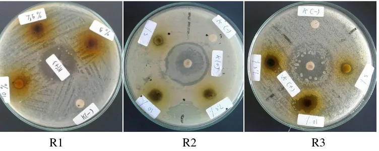 Gambar 1. Uji aktivitas fraksi semi polar terhadap bakteri S. aureus dengan metode difusi cakram 
