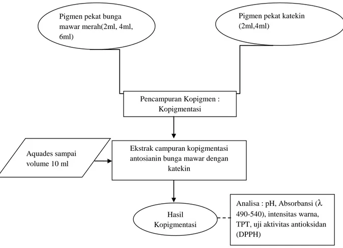 Gambar 6. Diagram Alir Proses Kopigmentasi Maarit et al. (2002) yang telah            dimodifikasi 