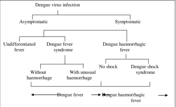 Gambar 2.2. Manifestasi klinis infeksi virus dengue (Sumber :  Monograph on  Dengue/Dengue Haemorrahgic fever, WHO 1983) 