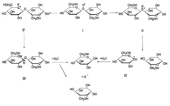 Gambar 4.16 Visualisasi mekanisme reaksi hidrolisis dengan katalis  asam   