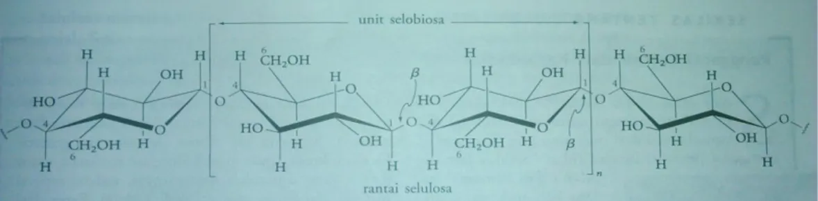 Gambar 2.1 Struktur persial dari molekul selulosa yang  menunjukkan tautan β dari setia unit glukosa 