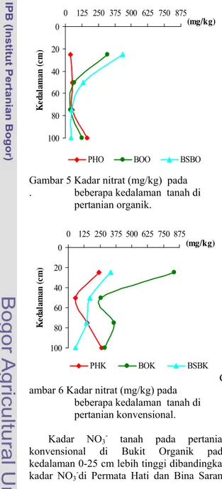 Gambar 5 Kadar nitrat (mg/kg)  pada   .                beberapa kedalaman  tanah di                   pertanian organik
