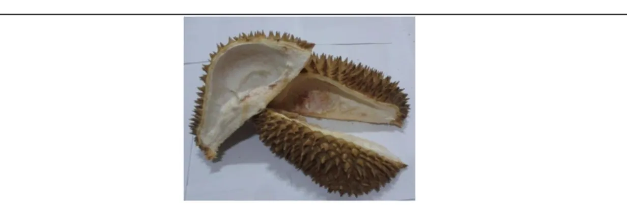 Tabel  1.  Komposisi Kimia Kulit Durian 