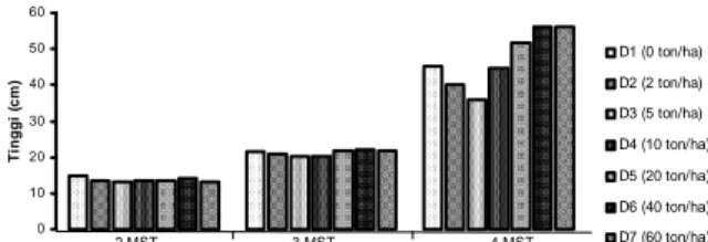 Gambar 1 dan 2 menunjukkan bahwa pada  umur  2  MST  perlakuan  tanpa  zeolit  menunjukkan pertumbuhan yang lebih baik  dibandingkan  dengan  perlakuan  dengan  zeolit