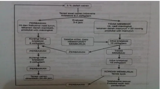 Gambar 5. Penatalaksanaan DBD dengan penigkatan hematokrit &gt; 20% 2 