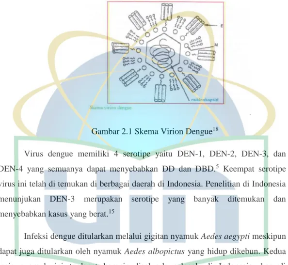 Gambar 2.1 Skema Virion Dengue 18