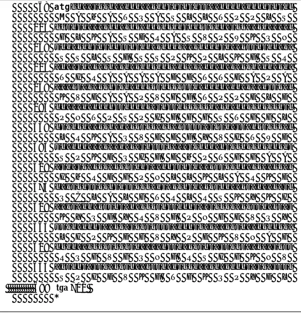 Gambar 2.  Open  reading  frame  (ORF)  yang  terdiri  atas  210 asam  amino  deduksi  diawali  start  codon atg  (Met)  dan  diakhiri stop codon tga 