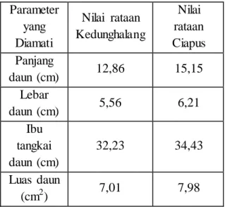 Tabel  Pengamatan  Anatomi  Daun  Mahoni  (Swietenia mahagoni Jacq.)   Parameter  yang  Diamati  Nilai  rataan  Kedunghalang  Nilai  rataan  Ciapus  Indeks  Stomata    0,1797  0,1395  Panjang  Stomata  (nm)  203.80,93  210.88,18  Lebar  Stomata  (nm)  179.