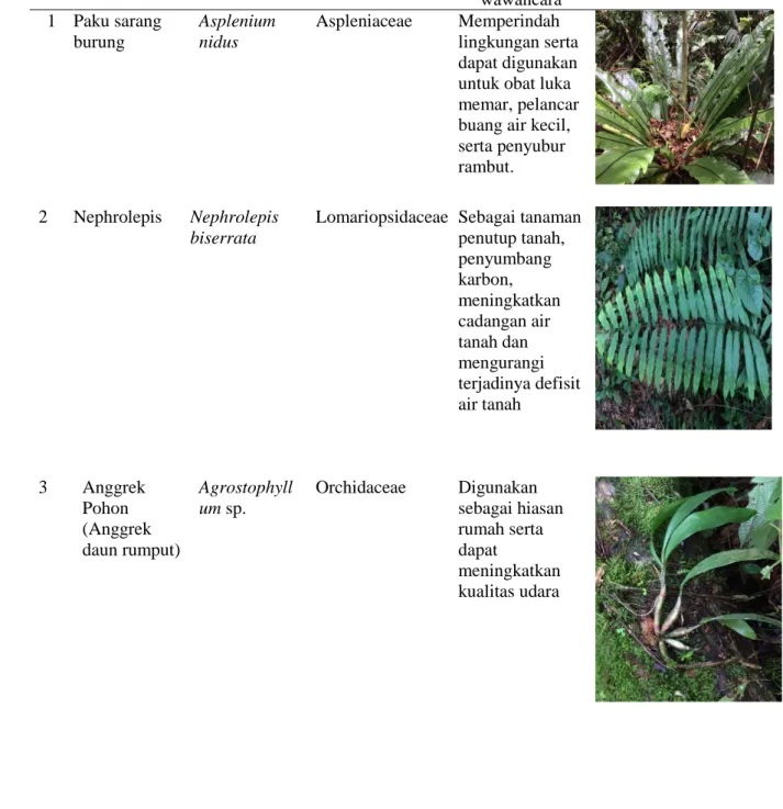 Tabel 1. Jenis-jenis Tumbuhan Hias yang Terdapat di Cagar Alam Martolu Purba  No  Nama 