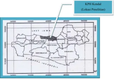 Gambar 2. Lokasi Penelitian 