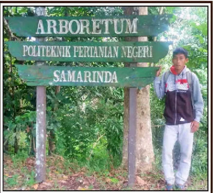 Gambar   9. Arboretum Politeknik Pertanian Negeri Samarinda   