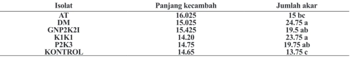 Tabel 2. Pengaruh beberapa isolat penghasil IAA terhadap pertumbuhan panjang akar dan  jumlah akar 