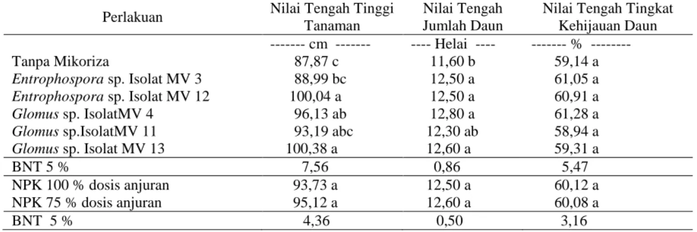 Tabel 4.  Pengaruh perlakuan jenis FMA dan dosis pupuk NPK pada tinggi tanaman, jumlah daun, dan  tingkat kehijauan daun bibit kelapa sawit umur 9 bulan